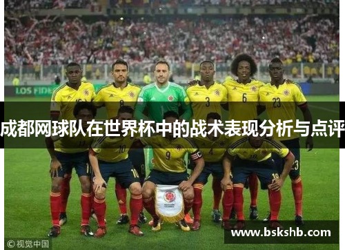 成都网球队在世界杯中的战术表现分析与点评